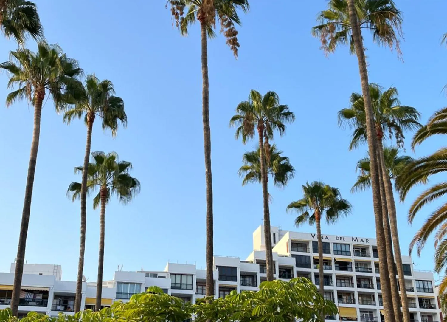 Vina Del Mar Apartment Playa Fanabe