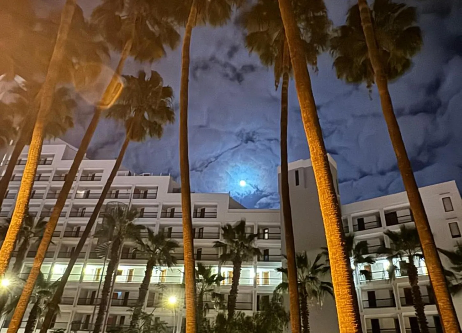 Vina Del Mar Apartment Playa Fanabe Spain